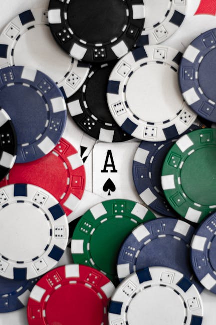 Strategic Card Game Championship with professional hosts and tournament setup